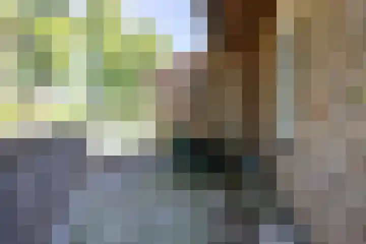 Nettenknoper 33 Beuningen Gld thumbnail 17