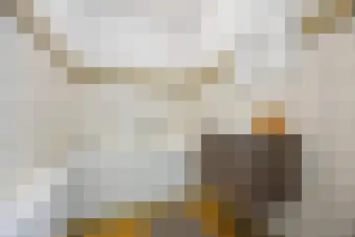Nettenknoper 33 Beuningen Gld thumbnail 25