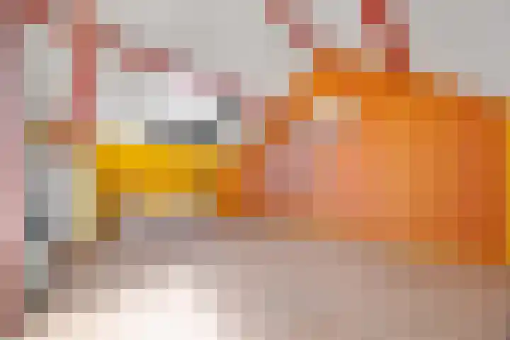 Nettenknoper 33 Beuningen Gld thumbnail 34