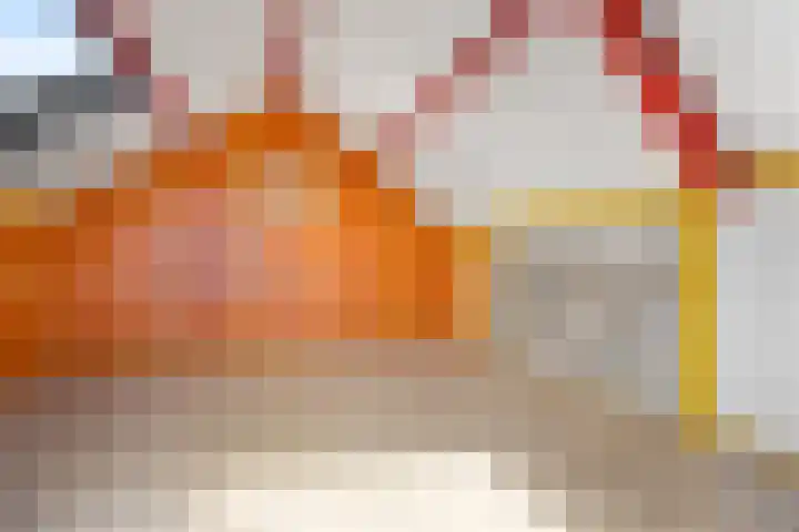 Nettenknoper 33 Beuningen Gld thumbnail 35
