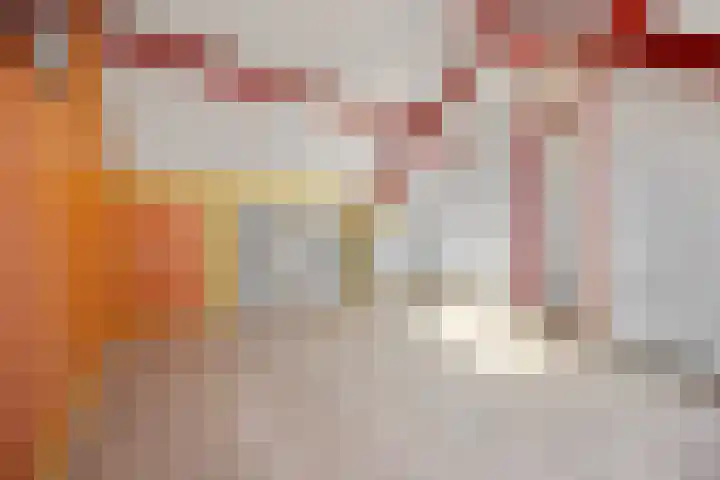 Nettenknoper 33 Beuningen Gld thumbnail 36