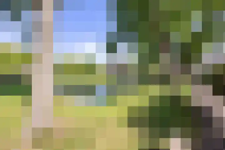 Nettenknoper 33 Beuningen Gld thumbnail 37
