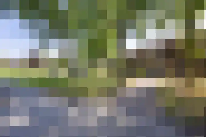 Nettenknoper 33 Beuningen Gld thumbnail 38
