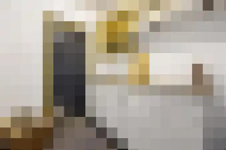 Nettenknoper 33 Beuningen Gld thumbnail 4