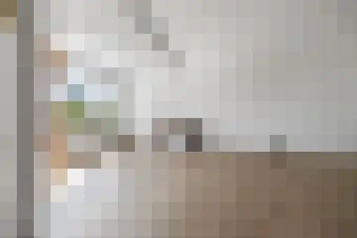 Nettenknoper 33 Beuningen Gld thumbnail 8