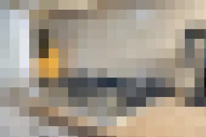 Neubourg 13 's-Hertogenbosch thumbnail 27