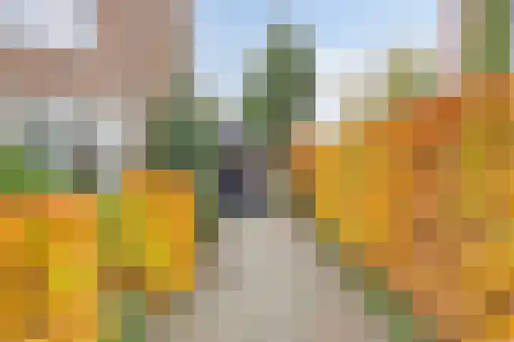 Neubourg 13 's-Hertogenbosch thumbnail 4