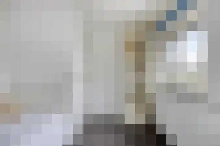 Neubourg 13 's-Hertogenbosch thumbnail 44