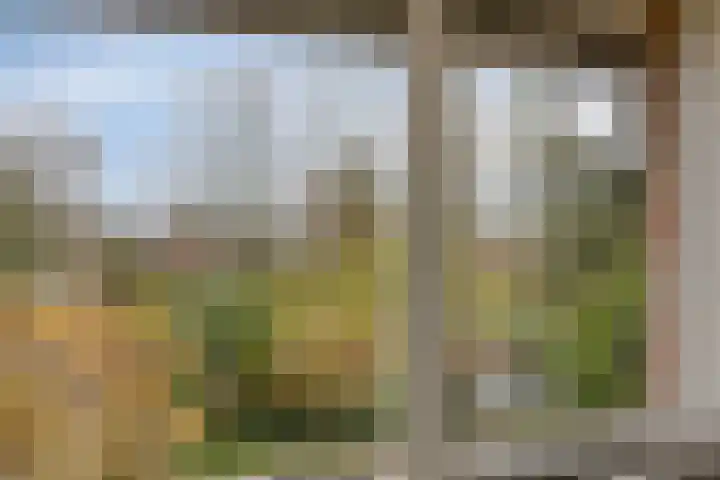Neubourg 13 's-Hertogenbosch thumbnail 45