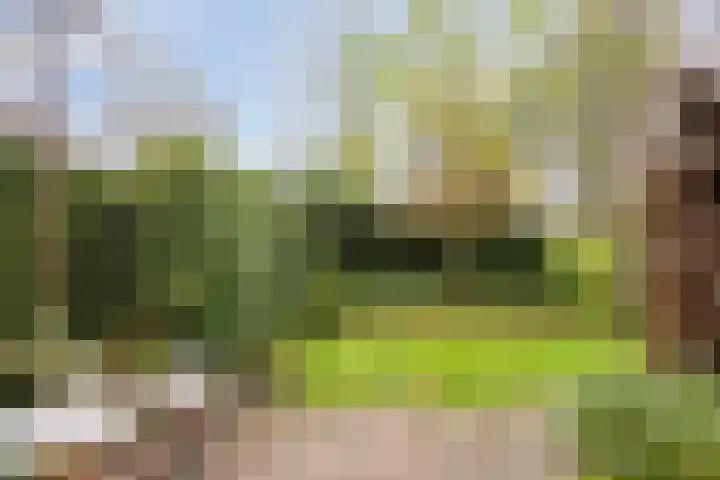 Neubourg 13 's-Hertogenbosch thumbnail 47