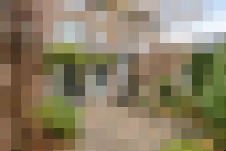 Neubourg 13 's-Hertogenbosch thumbnail 49