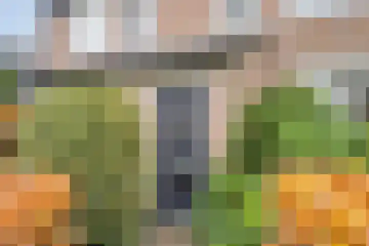 Neubourg 13 's-Hertogenbosch thumbnail 5