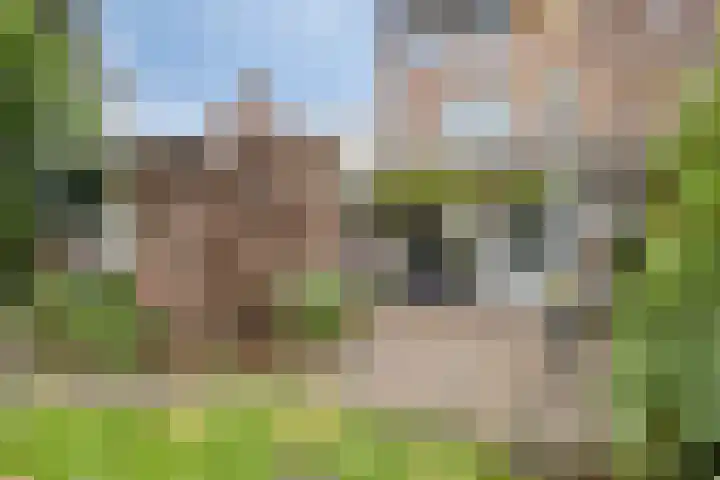 Neubourg 13 's-Hertogenbosch thumbnail 51