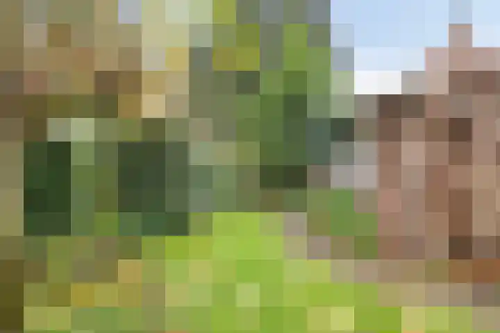 Neubourg 13 's-Hertogenbosch thumbnail 52