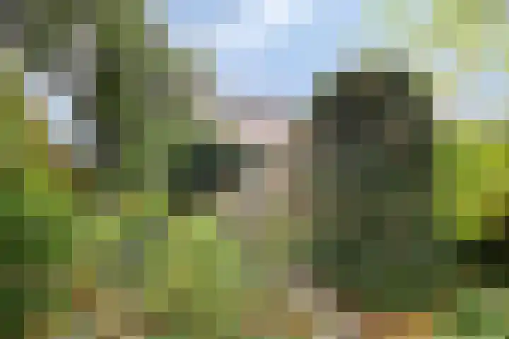 Neubourg 13 's-Hertogenbosch thumbnail 55