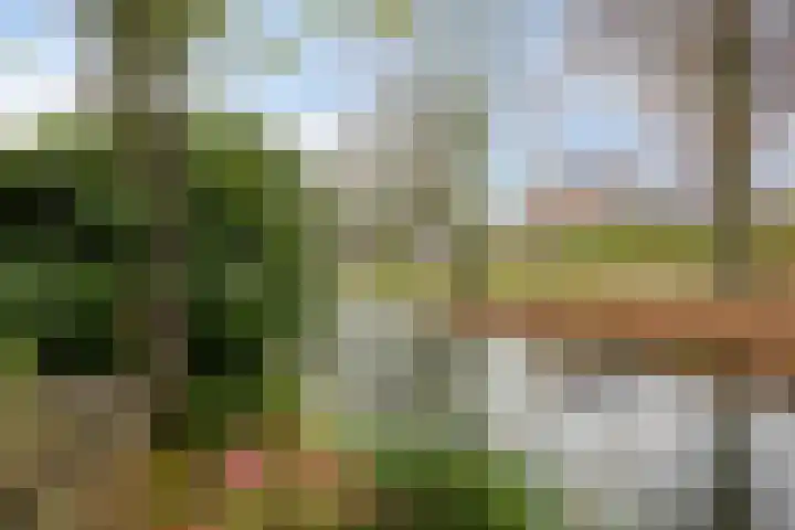 Neubourg 13 's-Hertogenbosch thumbnail 56