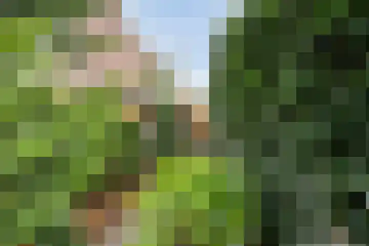 Neubourg 13 's-Hertogenbosch thumbnail 57