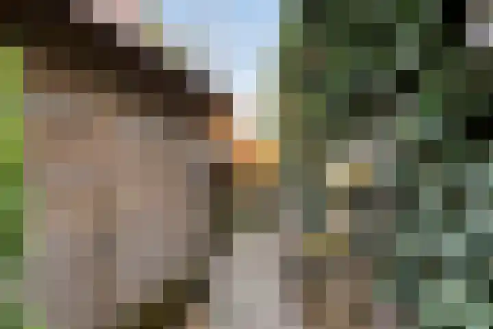 Neubourg 13 's-Hertogenbosch thumbnail 60