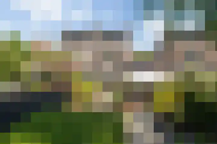 Neubourg 7 's-Hertogenbosch thumbnail 15