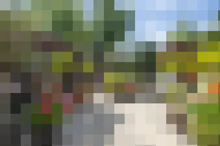 Neubourg 7 's-Hertogenbosch thumbnail 37