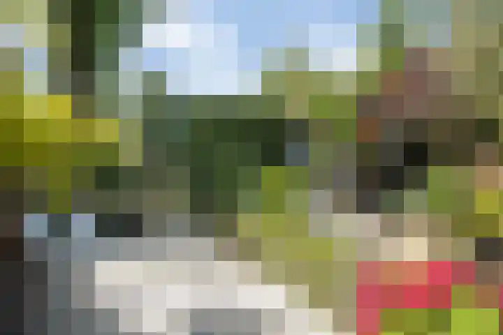 Neubourg 7 's-Hertogenbosch thumbnail 40