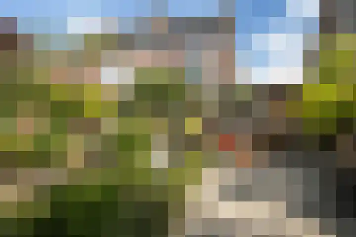 Neubourg 7 's-Hertogenbosch thumbnail 41