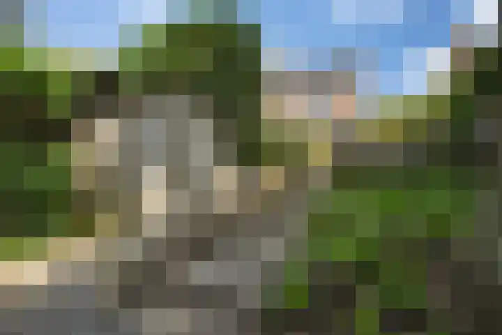 Neubourg 7 's-Hertogenbosch thumbnail 42