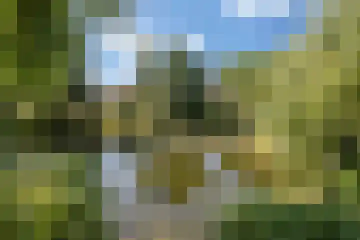 Neubourg 7 's-Hertogenbosch thumbnail 43