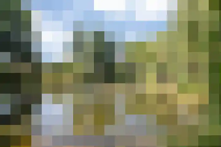 Neubourg 7 's-Hertogenbosch thumbnail 44