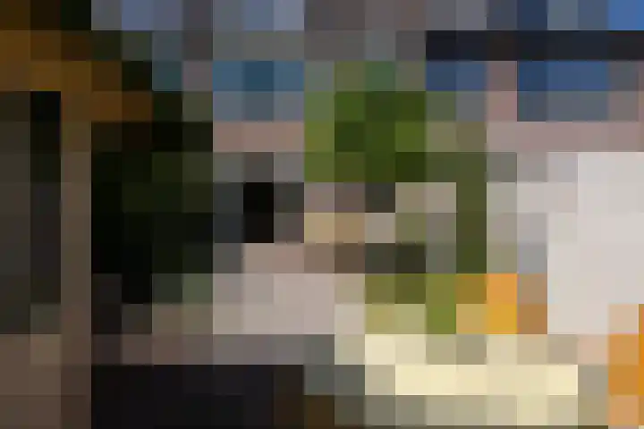 Neubourgstraat 30 Breda thumbnail 31