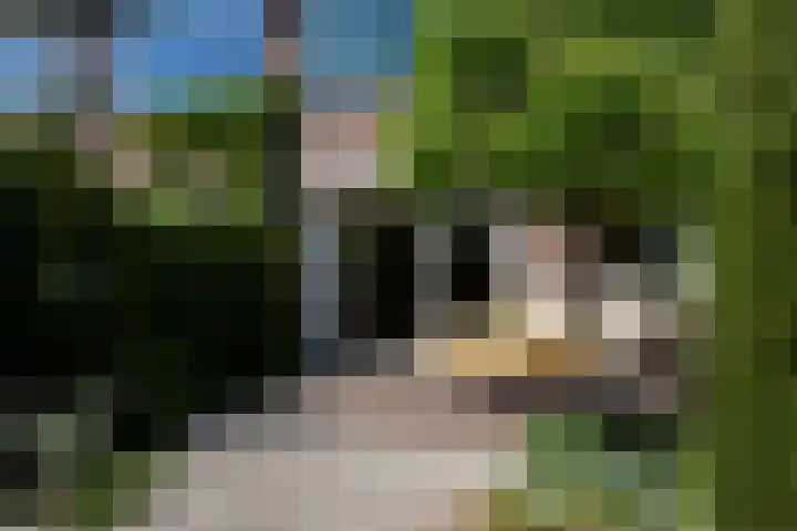 Neubourgstraat 30 Breda thumbnail 33