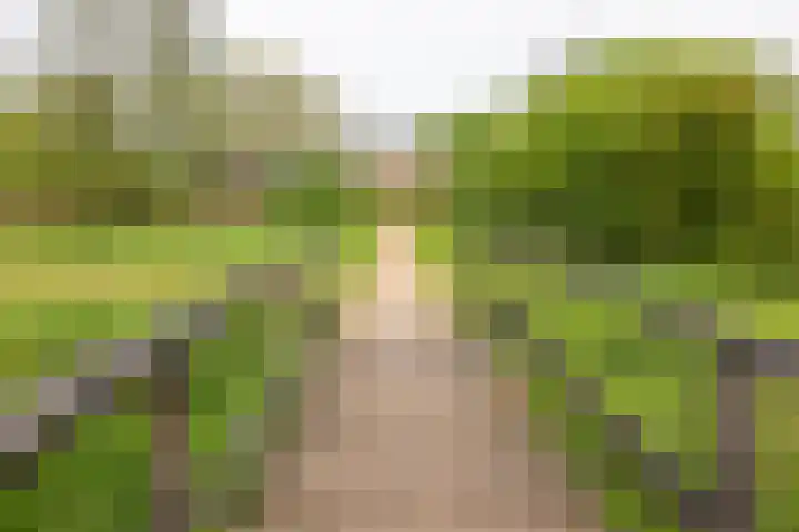 Neubourgstraat 30 Breda thumbnail 39