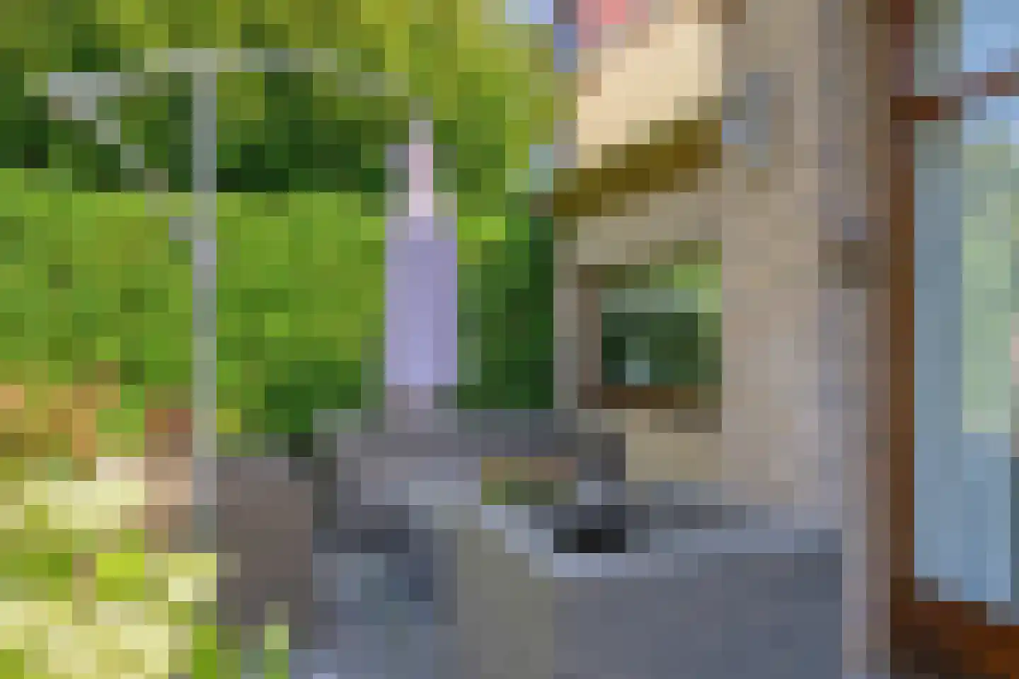 Neubourgstraat 7 Breda thumbnail 33
