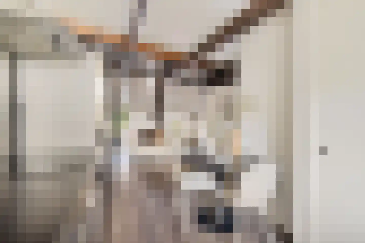 Neude 29 C Utrecht thumbnail 12