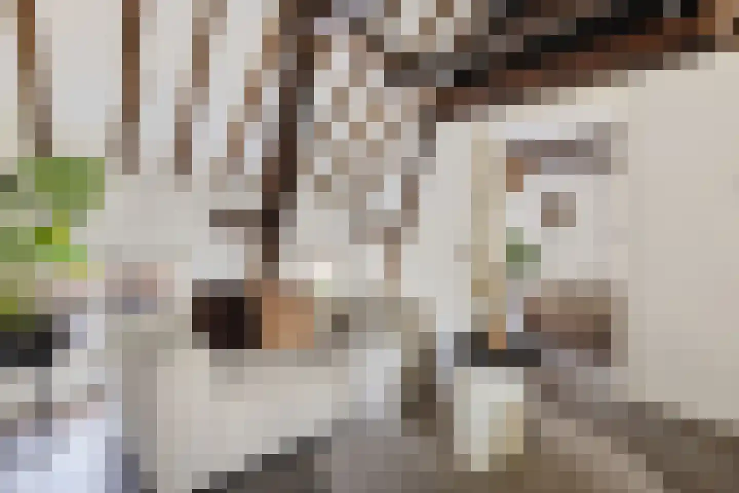 Neude 29 C Utrecht thumbnail 13