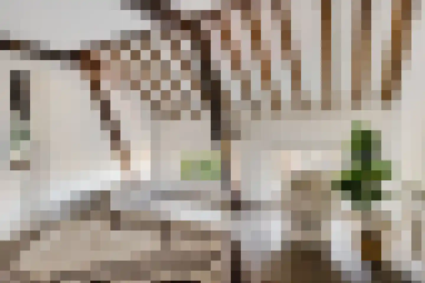 Neude 29 C Utrecht thumbnail 15