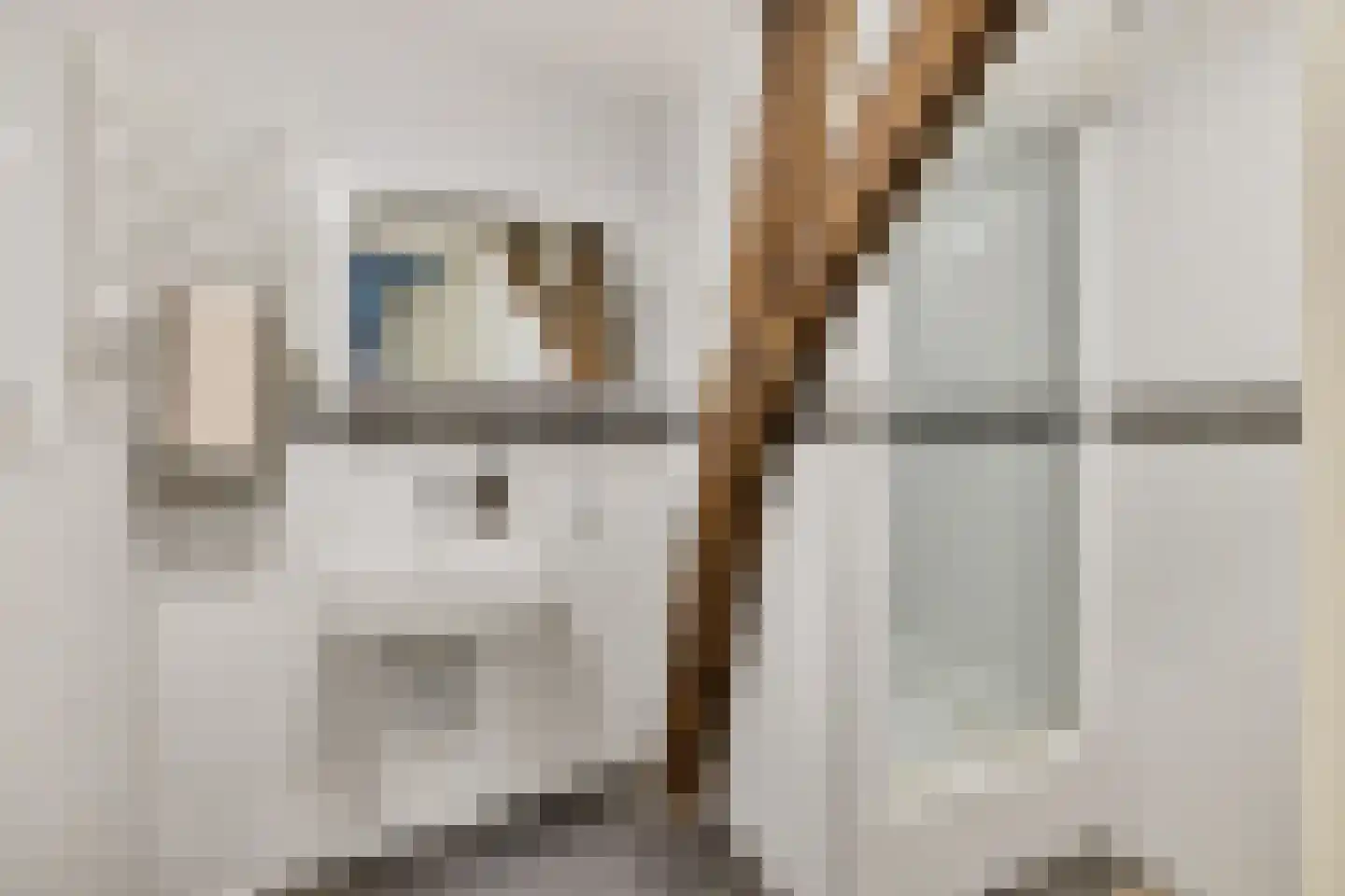 Neude 29 C Utrecht thumbnail 16