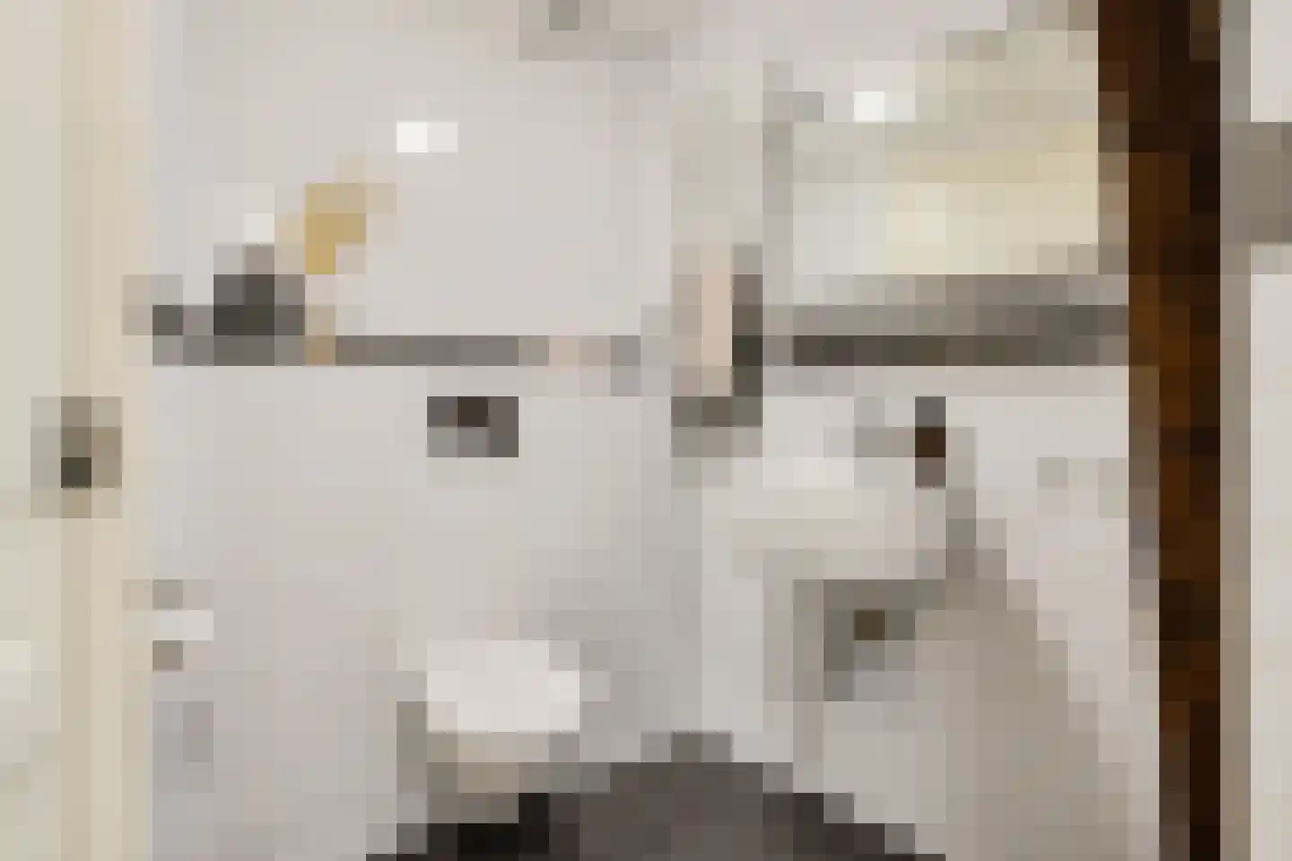 Neude 29 C Utrecht thumbnail 17