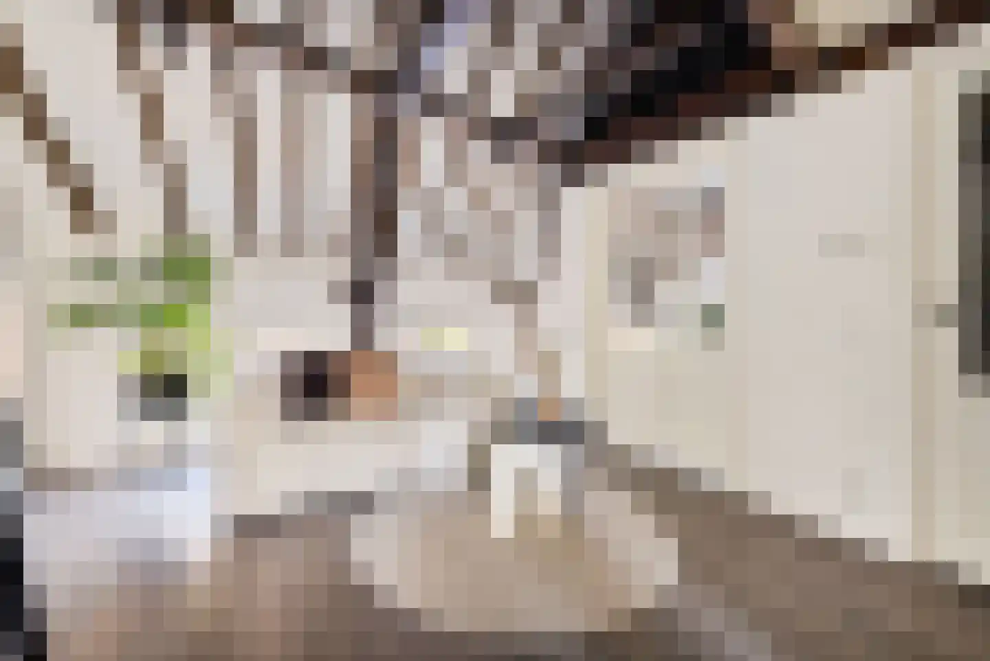 Neude 29 C Utrecht thumbnail 4