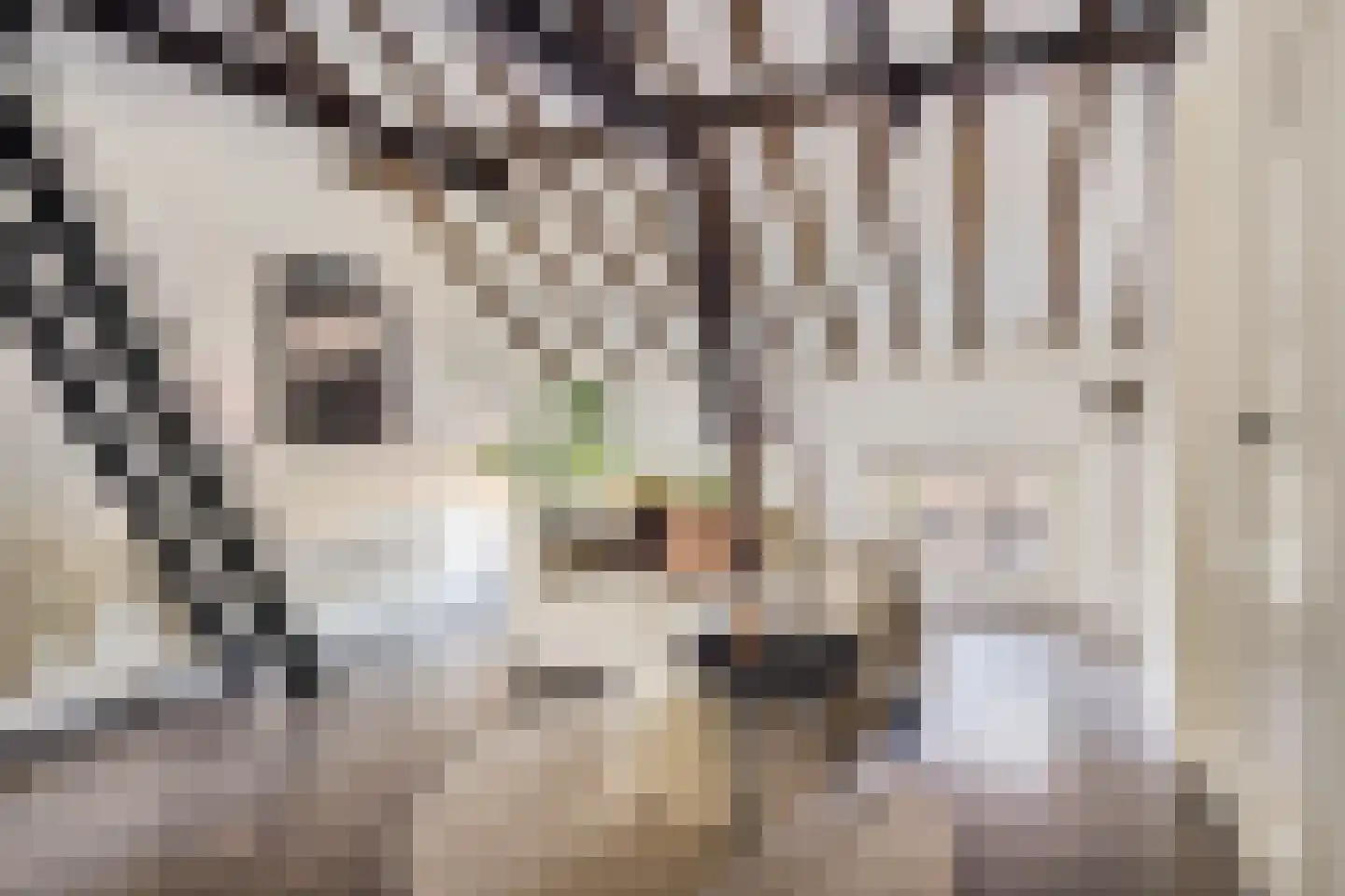 Neude 29 C Utrecht thumbnail 6
