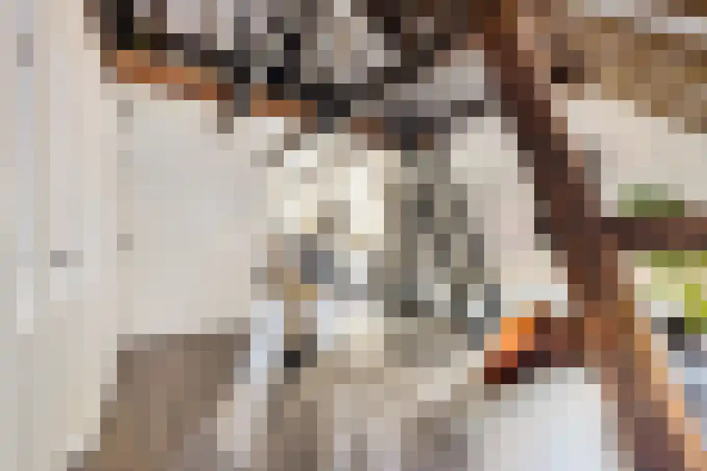 Neude 29 C Utrecht thumbnail 8