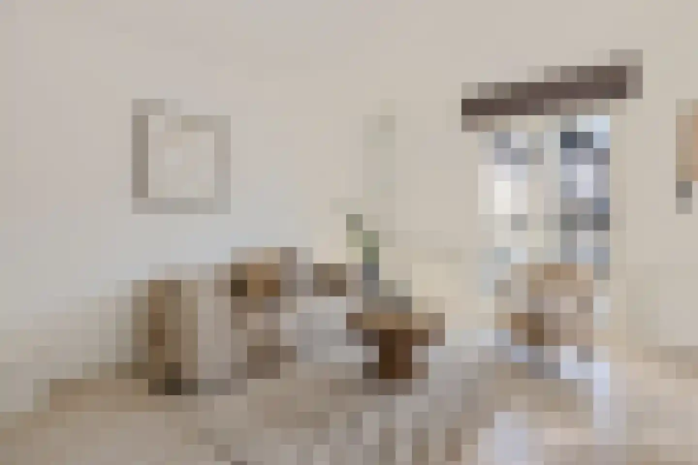 Neude 29 D Utrecht thumbnail 11