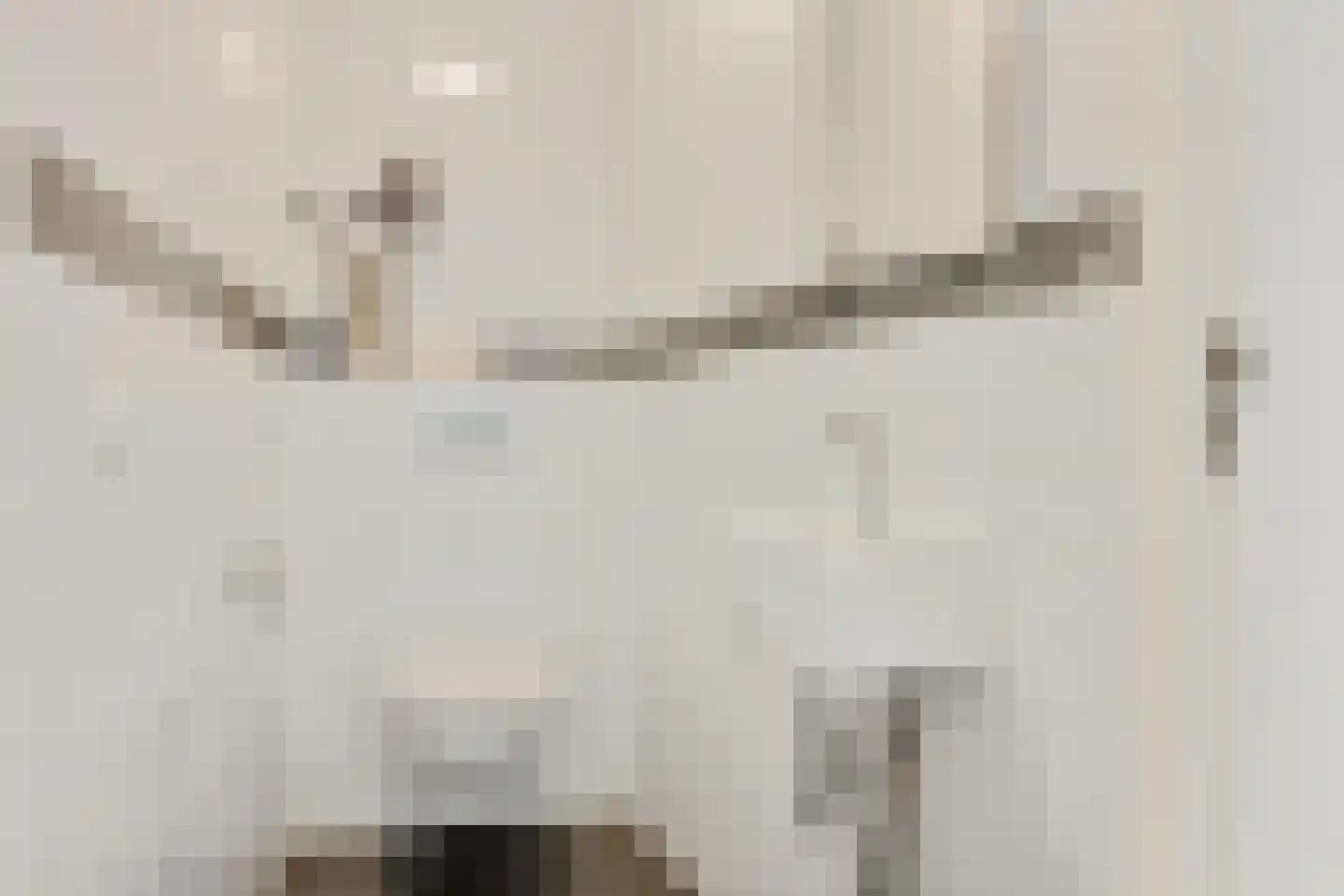 Neude 29 D Utrecht thumbnail 22