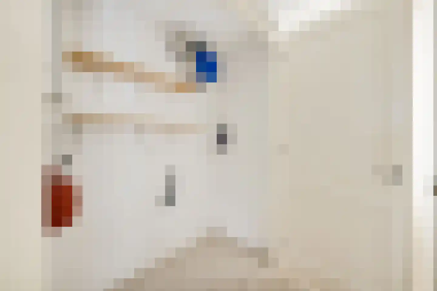 Neude 29 D Utrecht thumbnail 23