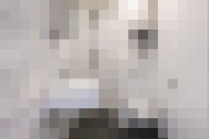 Neude 30 B Utrecht thumbnail 17