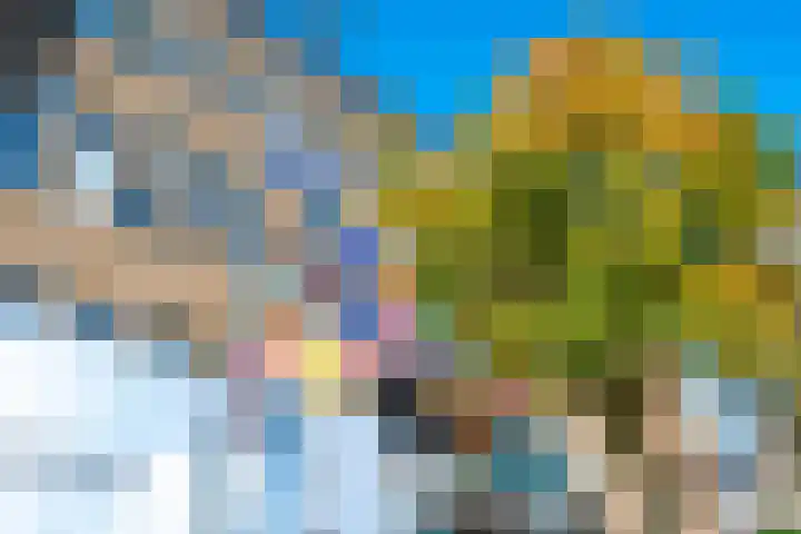 Neude 30 B Utrecht thumbnail 36