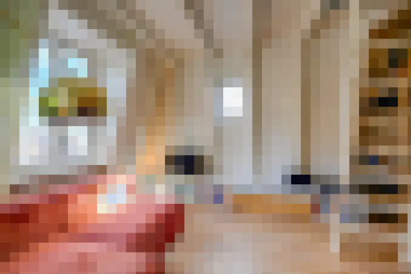 Neude 30 F Utrecht thumbnail 11