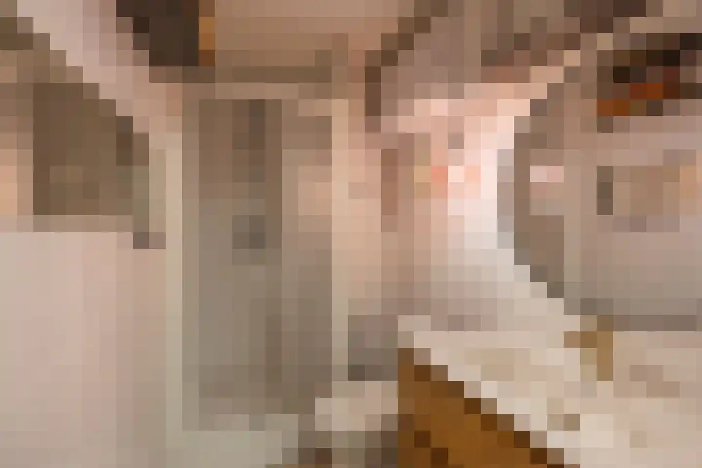 Neude 30 F Utrecht thumbnail 25