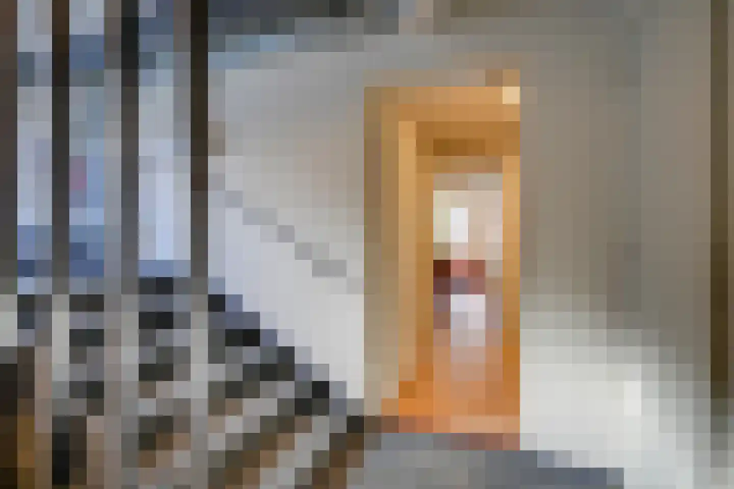 Neude 30 F Utrecht thumbnail 5
