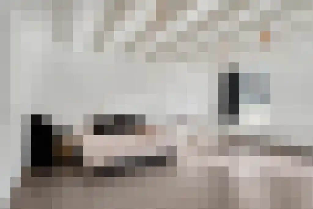 Neude 30 F Utrecht thumbnail 7